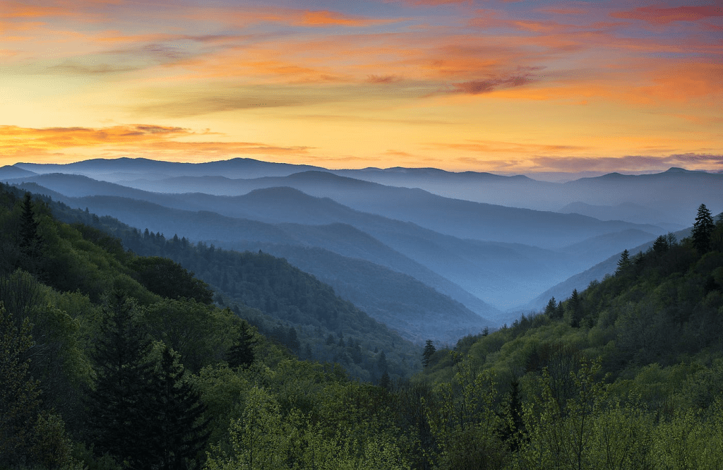 Tripps Plus Reviews the Smoky Mountains Experience of a Lifetime (1)