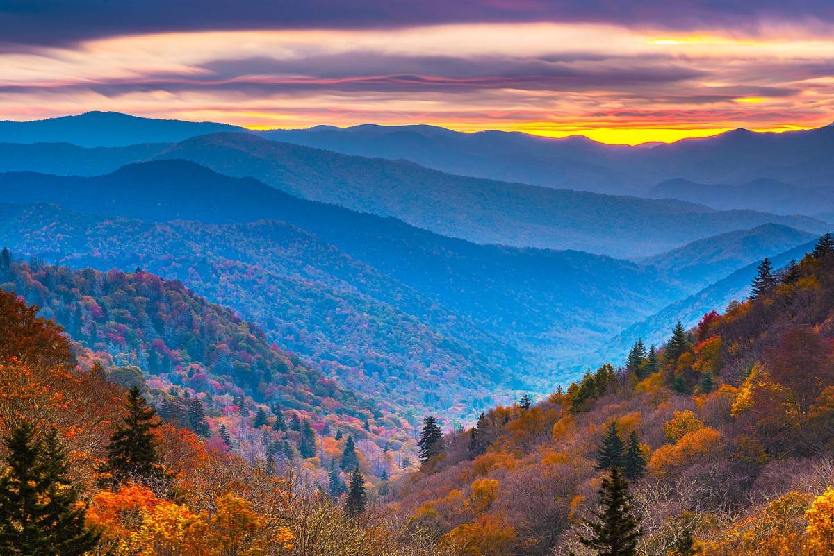 Tripps Plus Reviews the Smoky Mountains Experience of a Lifetime (3)