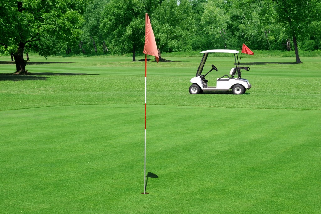 beauty of a golf course and vehicle